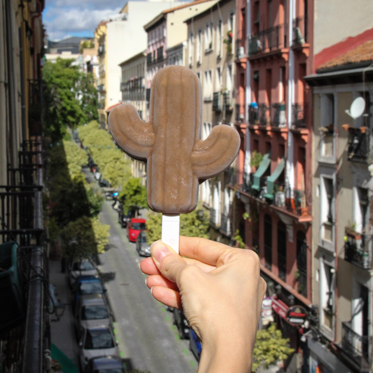 helado de cacao avellanas 1